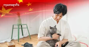 ส่อง “ตลาดแมวจีน” โตแรง จากสัตว์เลี้ยงสู่”เศรษฐกิจแมว”ครบวงจร