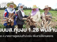 นบมส.ทุ่มงบ 1.28 พันล้าน ดูแลมันสำปะหลัง เพิ่มรายได้เกษตรกร