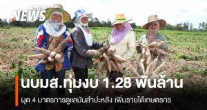 นบมส.ทุ่มงบ 1.28 พันล้าน ดูแลมันสำปะหลัง เพิ่มรายได้เกษตรกร