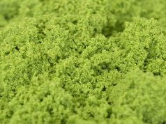 มกอช. ผลักดัน “ ไข่ผำ ” สู่ตลาดญี่ปุ่น – ถก MAFF วางกรอบความร่วมมือ JTEPA