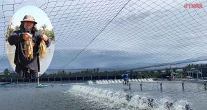 เกษตรกร บ้านแพ้วเผยสูตรเลี้ยงกุ้งเป็น “ระบบพัฒนา”ทำกำไรได้ตามเป้าหมาย