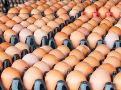 แม่บ้านจ๊าก ไข่ไก่ขึ้นราคาอีก 20 สตางค์ เป็นฟองละ 3.40 บาท มีผล 17พ.ย.นี้