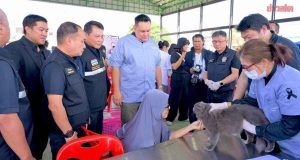 อามินทร์ ลงพื้นที่ จ.นนทบุรี ให้บริการ ทำหมันสุนัข-แมว ลดภาระเจ้าของ