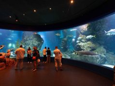 ซีไลฟ์ แบงคอก ครบ 20 ปี จัดโชว์นางเงือก “Dive Into the Water Dance”