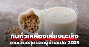 เช็กข่าวชัวร์ : กินถั่วเหลือง น้ำเต้าหู้ เสี่ยงมะเร็งเต้านมจริงหรือไม่? หมอเจดมาเฉลยแล้ว