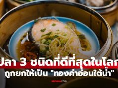 ปลา 3 ชนิด “ปลาที่ดีที่สุดในโลก” ถูกยกให้เป็น “ทองคำอ่อนใต้น้ำ” ที่ไทยมีทุกอย่าง!