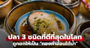 ปลา 3 ชนิด “ปลาที่ดีที่สุดในโลก” ถูกยกให้เป็น “ทองคำอ่อนใต้น้ำ” ที่ไทยมีทุกอย่าง!