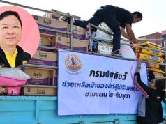 กรมปศุสัตว์ ส่งอาหาร 9,000 กิโล ช่วย หมา – แมว พื้นที่ชายแดนไทย–กัมพูชา