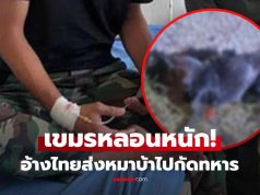 หนักแล้วพี่! เขมรยิงหมาเซ่นหลอนไปเอง อ้างไทยส่งหมาติดเชื้อ กัดแนวหน้าเจ็บ