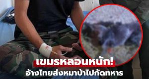 หนักแล้วพี่! เขมรยิงหมาเซ่นหลอนไปเอง อ้างไทยส่งหมาติดเชื้อ กัดแนวหน้าเจ็บ