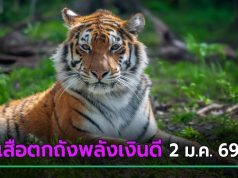ห้ามพลาด ! เสือตกถังพลังเงินดี ชี้เป้าเลขเด็ดงวดนี้ 2 ม.ค. 69 ชัด ๆ
