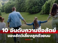 10 อันดับความซื่อสัตย์ ผัวเดียวเมียเดียว ของสัตว์เลี้ยงลูกด้วยนม มนุษย์อยู่ที่เท่าไหร่?