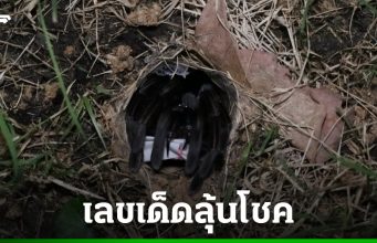 หวังปังรับปีใหม่ คอหวยทำพิธีเสี่ยงทายเลขเด็ด “พญาบึ้ง” ลุ้นโชคงวด 2/1/68