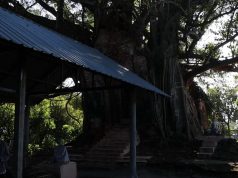 ได้เลขเด็ดสมใจ จุดธูปขอหวยลุ้นรางวัลใหญ่ปีใหม่นี้ วิหารเก่า 100 ปีมีเรื่องเล่าลี้ลับ