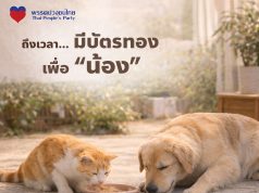 พรรคปวงชนไทย เสนอนโยบายบัตรทองเพื่อน้องหมาและแมว